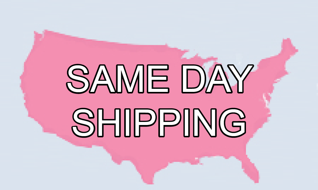 Image result for Same day shipping